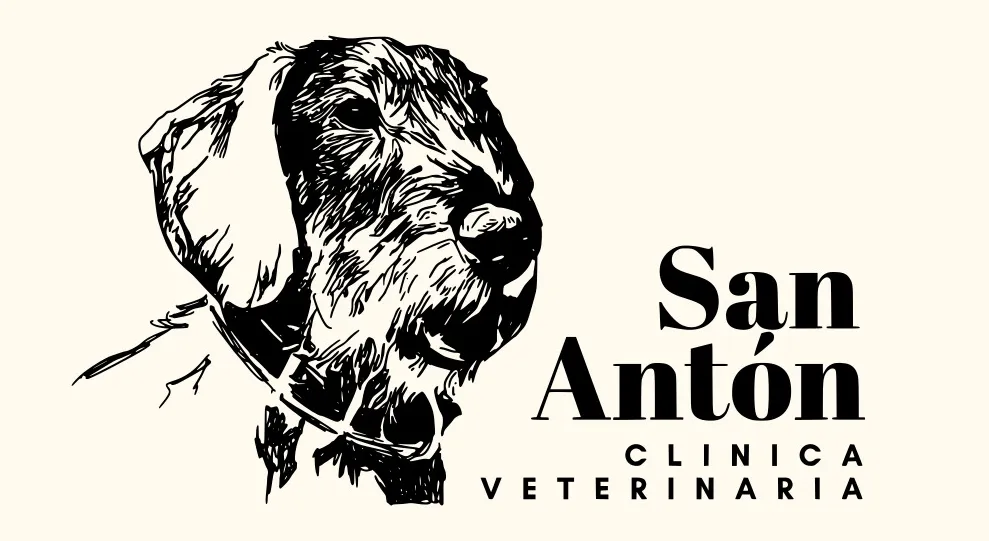 Clínicas Veterinarias en Madrid